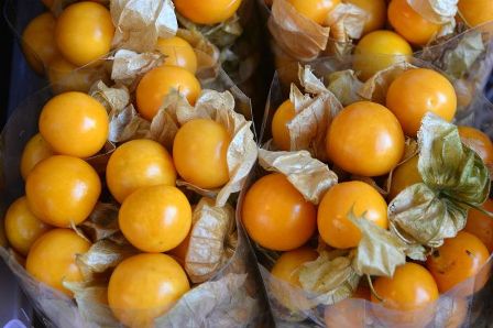 physalis-golden-berry-fruta