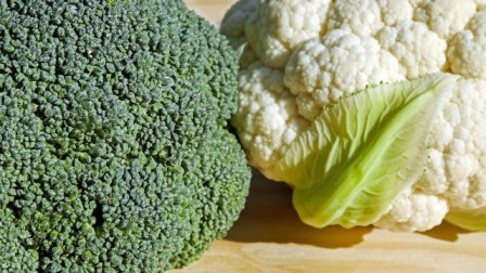 xbroccoli-3200719 1920.jpg.pagespeed.ic.VSTFnTaFeF